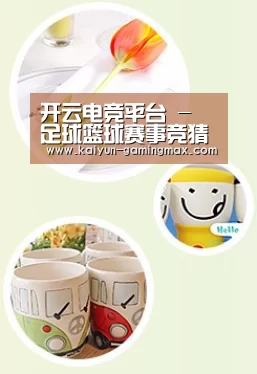 关于开云体育