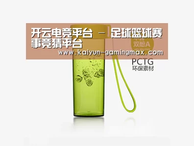 产品展示标题三