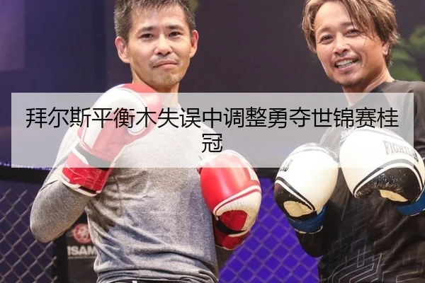 bai-er-si-ping-heng-mu-shi-wu-zhong-tiao-zheng-yong-duo-shi-jin-sai-gui-guan-2-151.jpg