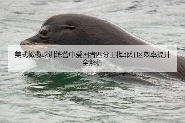 美式橄榄球训练营中爱国者四分卫梅耶红区效率提升全解析