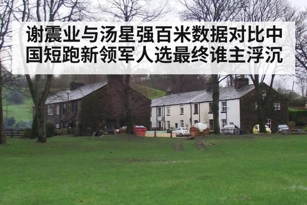 谢震业与汤星强百米数据对比中国短跑新领军人选最终谁主浮沉