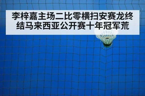 badminton net shot closeup