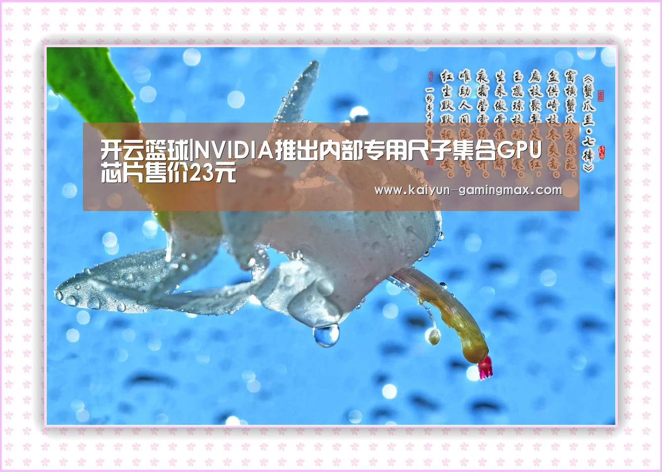 开云篮球|NVIDIA推出内部专用尺子集合GPU芯片售价23元(图1) 开云体育