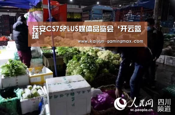 长安CS75PLUS媒体品鉴会‘开云篮球’(图2) 开云篮球