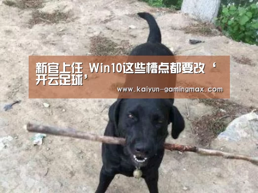 开云足球